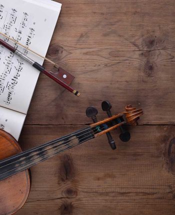 violin